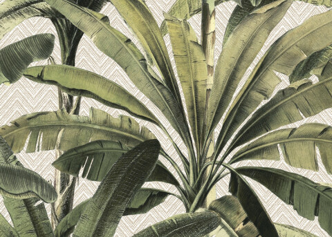 Essentials_Travellers_Palmera_11140_P___hero_480_343.jpg