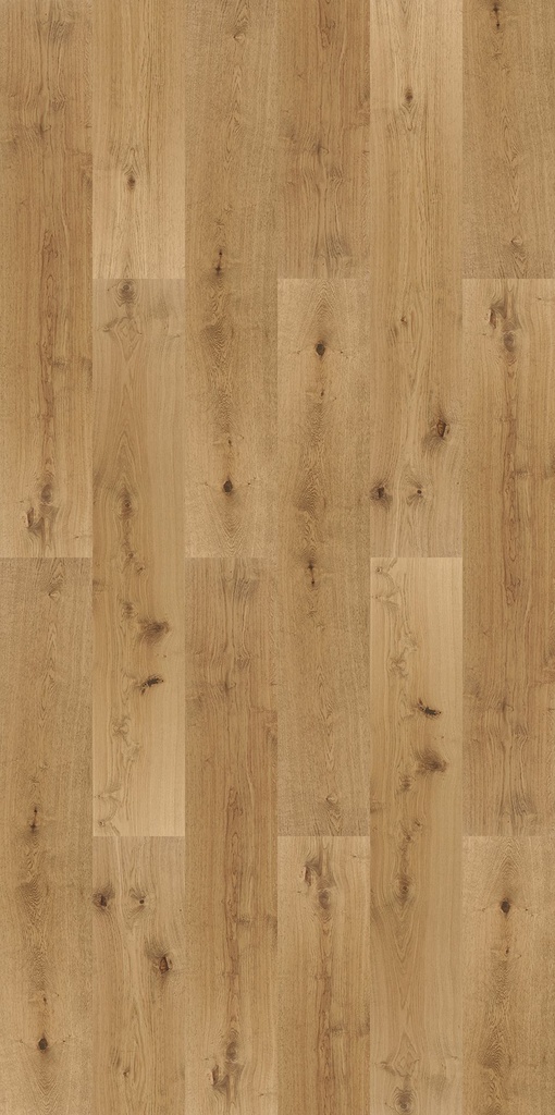 Lumbertech 270 Oil Collection