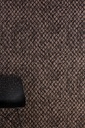 Aristo Quagga Collection