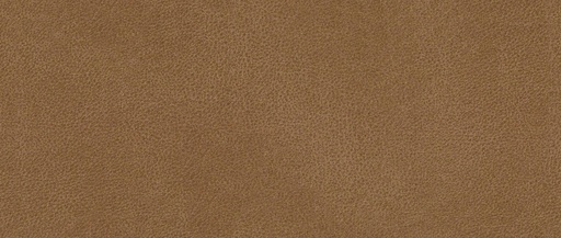 Canyon Collection Davis