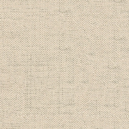 Moly Collection Davis